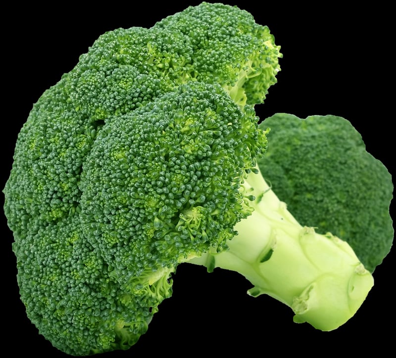 Fresh vegetables